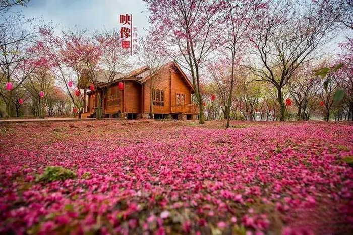 郴州旅游王仙嶺景區(qū)門(mén)票